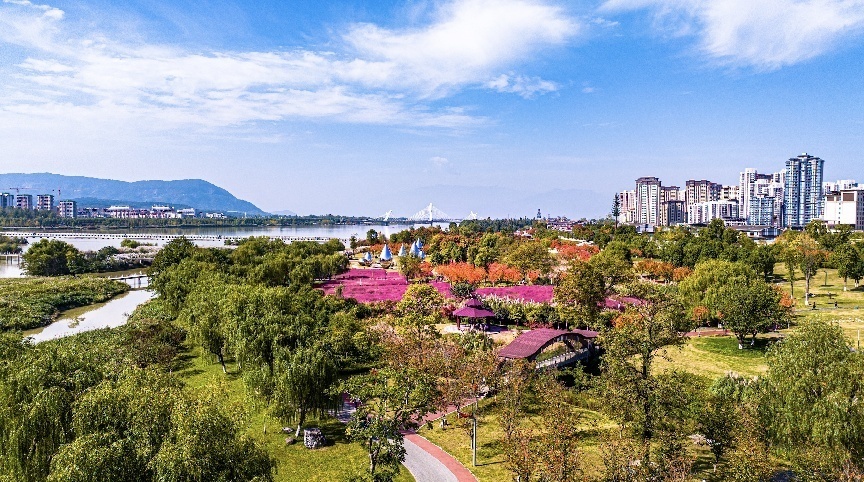 步入公園,仿佛走進(jìn)“色彩的世界”。王淦攝(資料圖片)