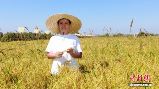 全國(guó)人大代表、寧安市渤海鎮(zhèn)上官地村黨支部書(shū)記、村委會(huì)主任陳雨佳在稻田中。 受訪者供圖