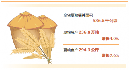 點(diǎn)擊放大